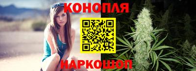 стаф Кулебаки