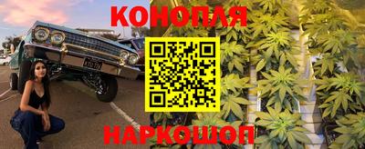 стаф Кулебаки
