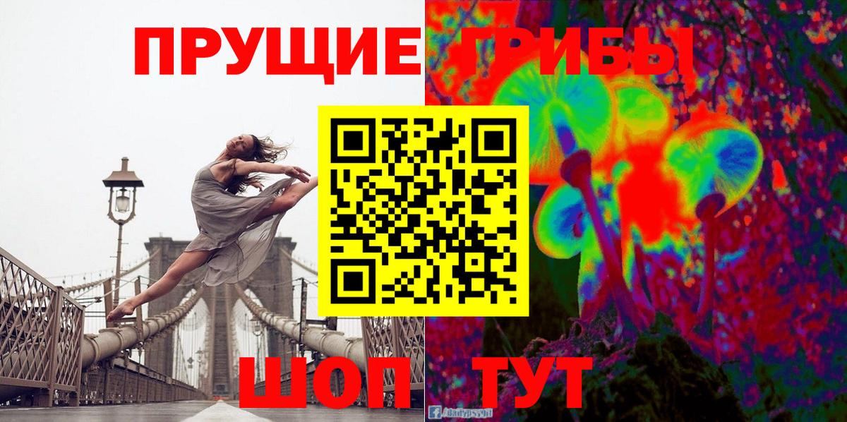Псилоцибиновые грибы Psilocybe Егорьевск