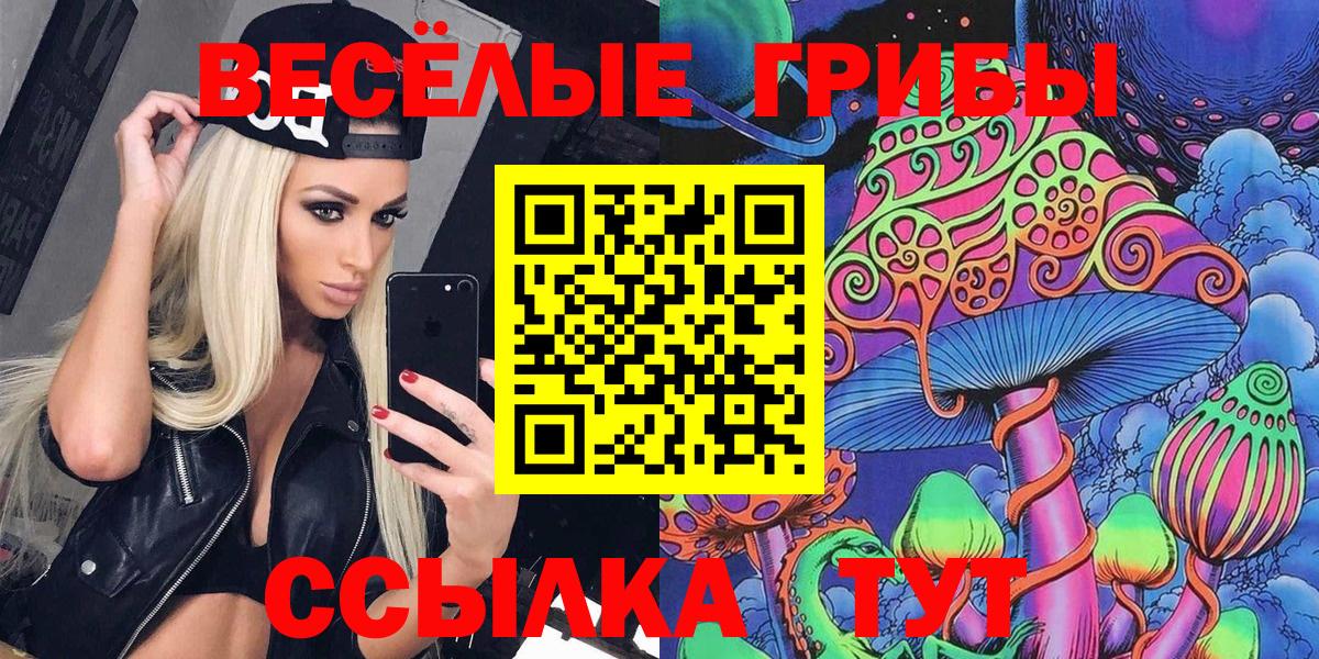 Псилоцибиновые грибы GOLDEN TEACHER  где найти   Егорьевск  Вход с VPN 